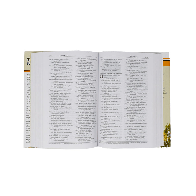 NIV Teen Study Bible