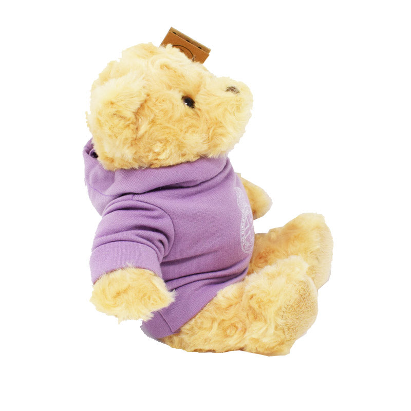 20cm Purple Hoodie Teddy Bear