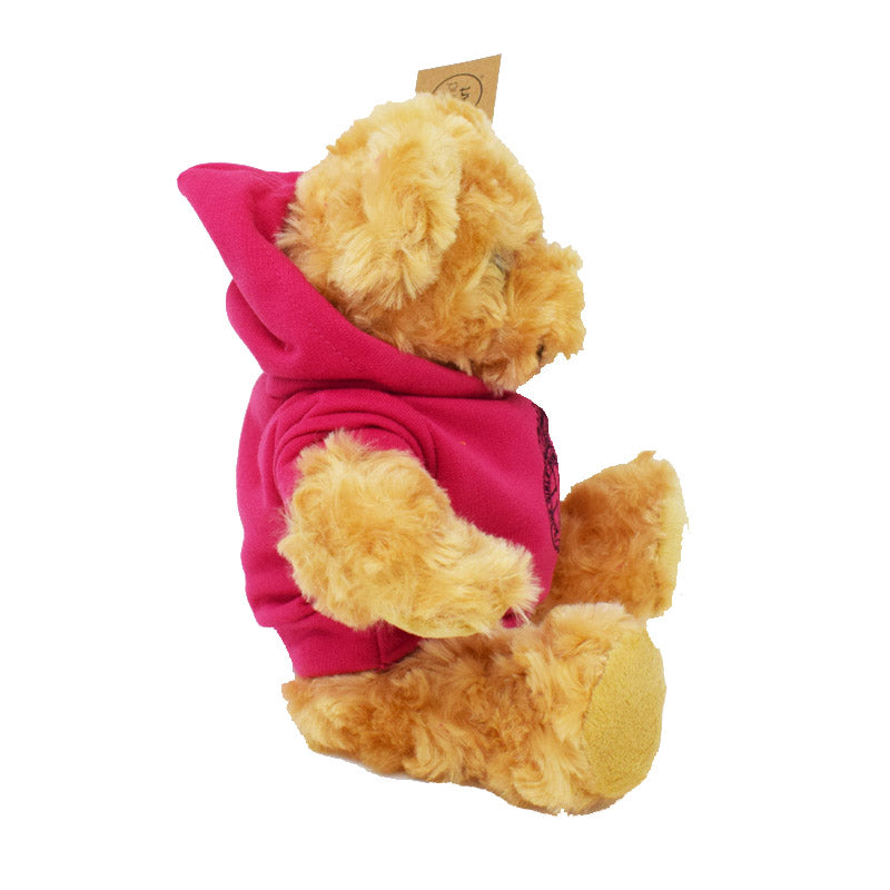 20cm Pink Hoodie Teddy Bear