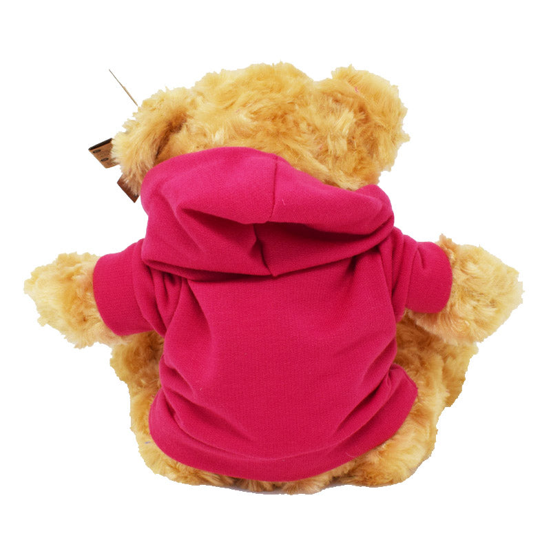 20cm Pink Hoodie Teddy Bear