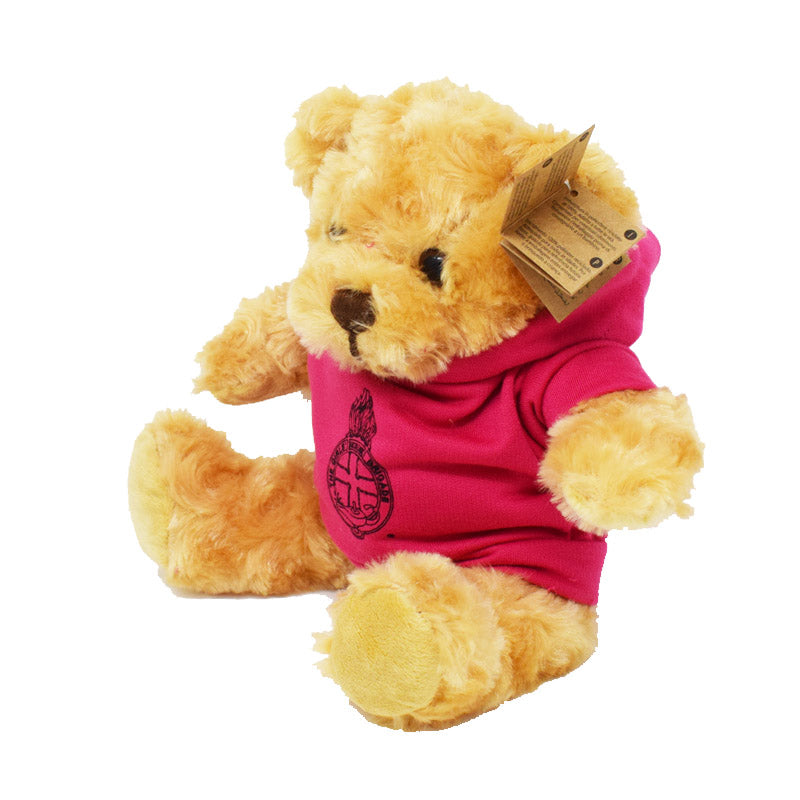 20cm Pink Hoodie Teddy Bear